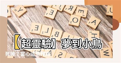 夢到很多鳥死掉|夢見小鳥死了是什麼意思